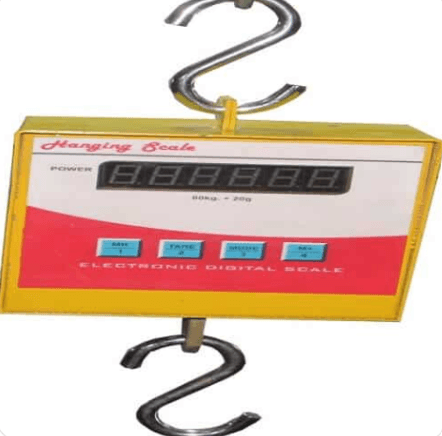 Crane Scale 100 kg