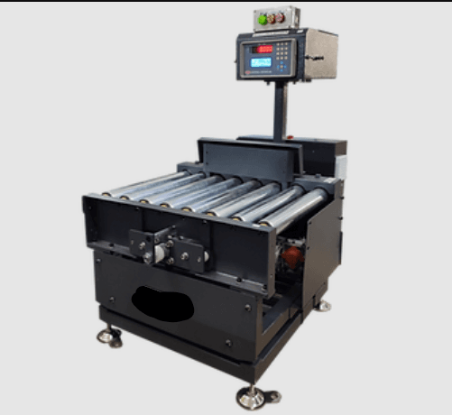 Static Check Weigher System (Offline Check Weigher System)